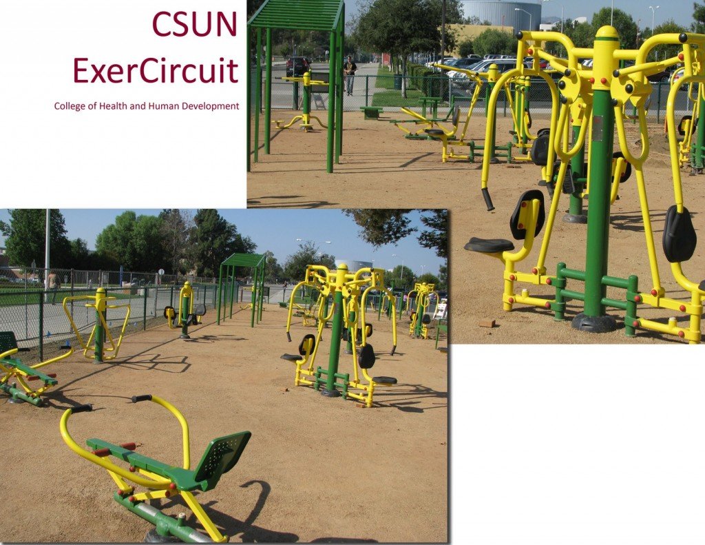 Exercircuit picture