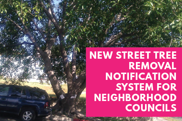New-Street-Tree-Removal-Notification-System-for-NCs