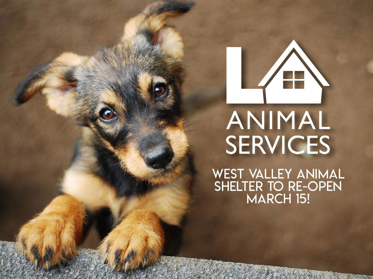 west-valley-animal-shelter-march-15-2021