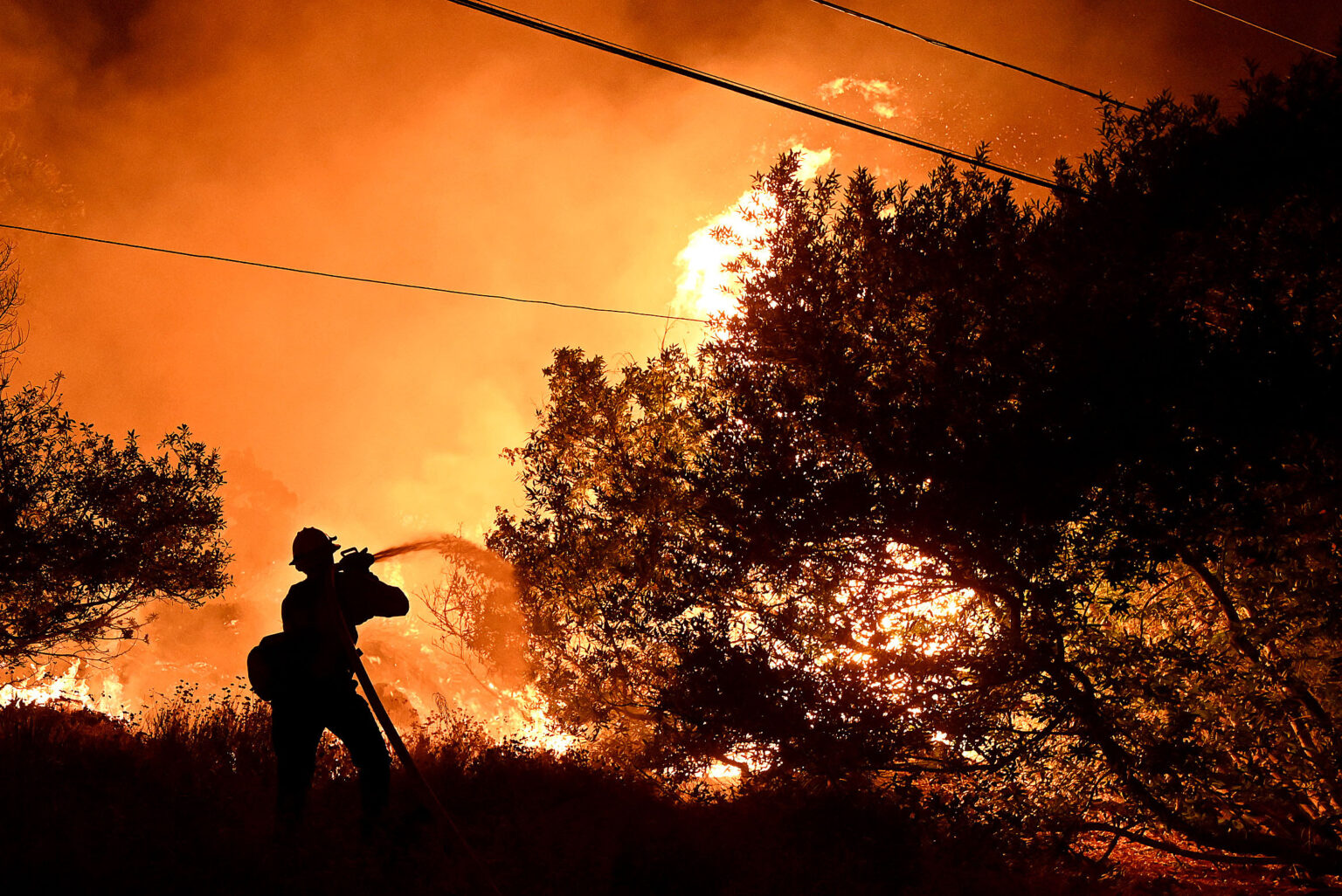 Here's what you need to know about the Airport, Bridge, and Line fires